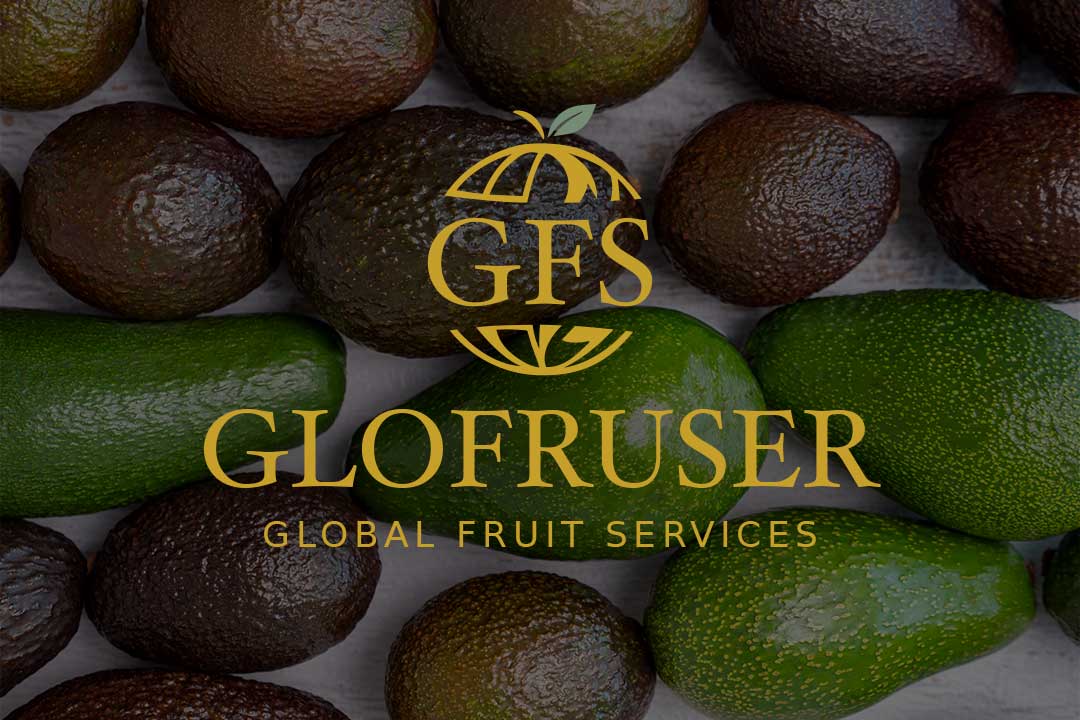 Web de de Glofruser