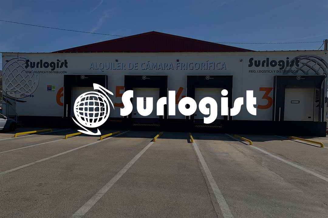 Web de Surlogist