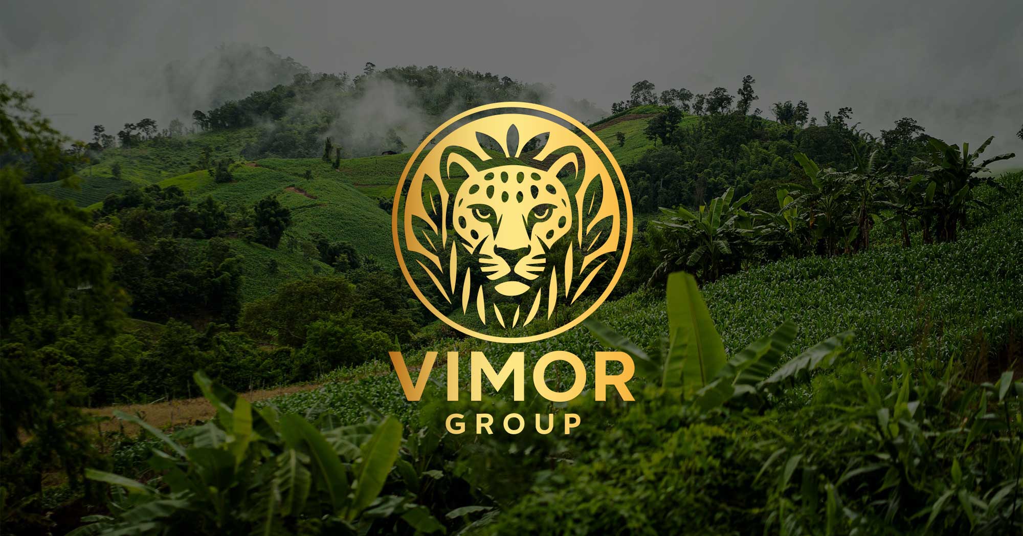 Logo en dorado de Vimor Group sobre selva